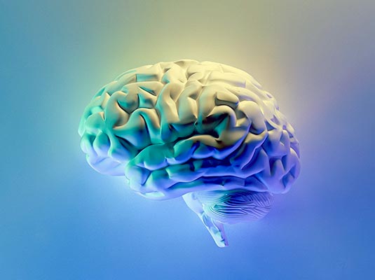 neurorrehabilitación